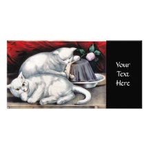 El dormir blanco de dos gatitos tarjetas fotográficas 