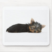 El dormir del perrito de Yorkie Alfombrilla De Raton
