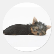 El dormir del perrito de Yorkie Pegatina Redonda