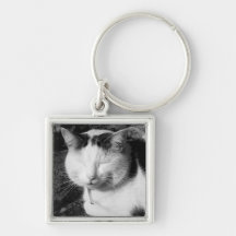 El dormir gato negro y blanco llavero personalizado