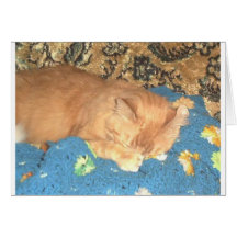El dormir Odie Tarjeta