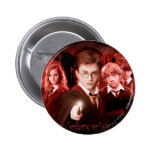 El ejército 2 de Dumbledore Pin