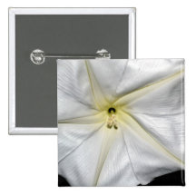 El encantar pins