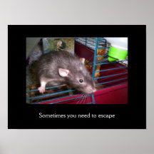 El escape posters