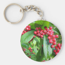 El escarlata Firethorn en valle cultiva un huerto  Llavero Personalizado