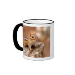 El esperar lindo del Chipmunk Taza