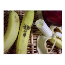 el extremo de la cesta de fruta tarjeta postal