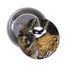El faisán de Reeve Pins