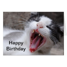 El feliz cumpleaños sea un gato perezoso hoy felicitación