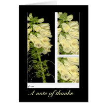 el foxglove le agradece felicitacion 