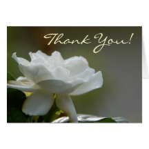 El Gardenia le agradece cardar Felicitación
