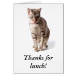 El gatito de Bengala dice las gracias por almuerzo Tarjetas