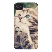 ¡El gatito dice por favor! iPhone 4 Funda