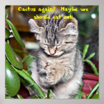 El gatito divertido/come hacia fuera poster