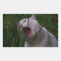 el gatito dulce come la hierba rectangular altavoz