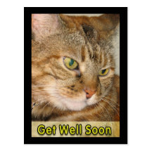 el gato consigue bien pronto postal
