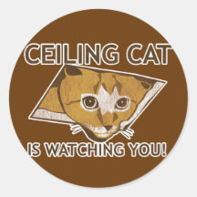 ¡El gato de Celing le está mirando! Pegatinas Redondas