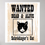 El gato de Schrodinger querido Impresiones