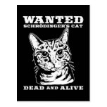 El gato de Schrodinger quiso a muertos o vivo Postal