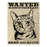 El gato de Schrodinger quiso a muertos o vivo Tarjetas Postales