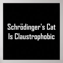 El gato de Schrodingers es claustrofóbico Poster