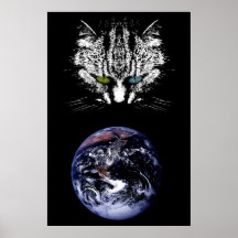 El gato de Tabby - amo del poster del universo