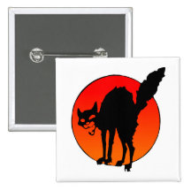 El gato del sindicalista pins