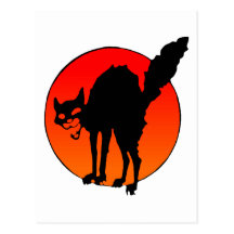 El gato del sindicalista tarjetas postales