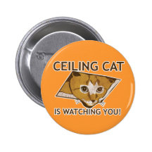 ¡El gato del techo le está mirando! Pin