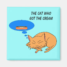 El gato que consiguió la crema imán