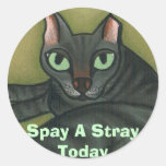 El gato salvaje, Spay un parásito hoy - modificado Pegatinas Redondas