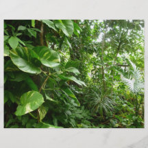 El gigante sale de la fotografía de la planta de l flyer a todo color