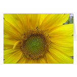 El girasol le agradece cardar tarjeta