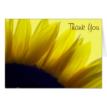 El girasol le agradece las tarjetas (el espacio en