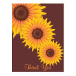 El girasol le agradece tarjeta postal