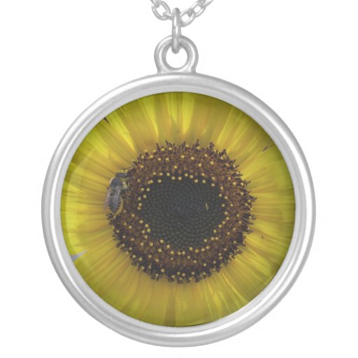 El girasol manosea el collar de la abeja 01