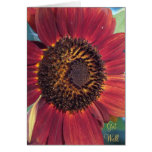 El girasol rojo consigue la tarjeta bien