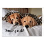 El golden retriever consigue pronto la tarjeta de 