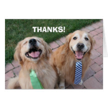 El golden retriever le agradece felicitaciones