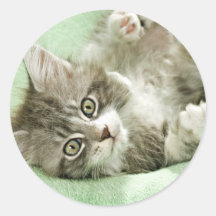 El golpear ligeramente gris lindo adorable del jue etiquetas  