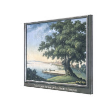 El gran árbol de Kingston con vistas a Philadel Impresiones En Lona Estiradas