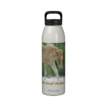 El grande al aire libre: Caballo de Assateague Botella De Beber