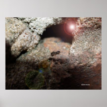 El guardia poster
