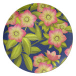 El Helleborus del rosa cuaresmal florece la placa Platos Para Fiestas
