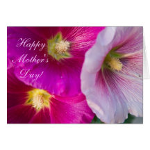 ¡El hibisco tropical rosado florece el día de madr Felicitaciones
