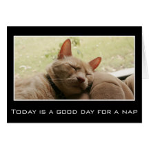 El hoy es un buen día para una siesta tarjetas