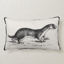 El hurón del vintage añade su selección del nombre almohadas