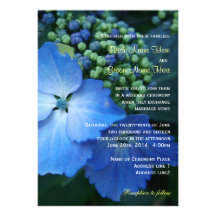 El hydrangea azul de la hoja grande florece el bod anuncios personalizados