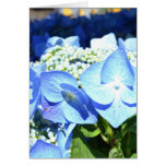 El Hydrangea azul florece la tarjeta