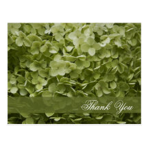 El Hydrangea de Annabelle le agradece postal
